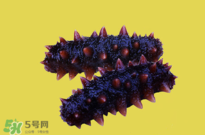 春天能吃海參嗎？春天吃海參效果好嗎？