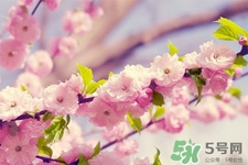 春天容易得水痘嗎？春天是水痘的高發(fā)季節(jié)嗎？