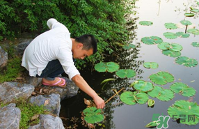 四月份可以釣黃鱔嗎？4月份可以釣黃鱔嗎？