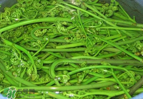 蕨菜怎么洗？蕨菜怎么清洗才干凈？
