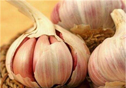 大蒜有種子嗎？大蒜的種子是什么？