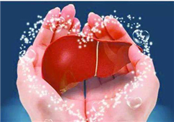 養(yǎng)肝護(hù)肝的食物 養(yǎng)肝的食物有哪些？