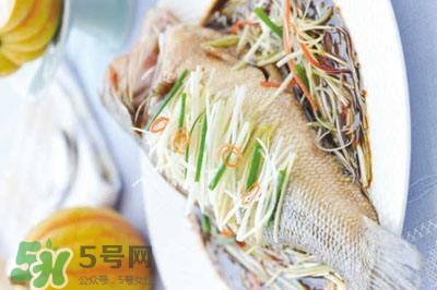 清蒸魚的做法 清蒸魚怎么做 清蒸魚的做法 清蒸魚怎么做