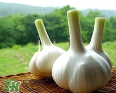 吃大蒜有什么好處？大蒜有什么功效？