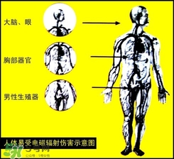 防輻射服什么時候開始穿？防輻射服真的有用嗎？