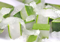 出水痘能用蘆薈膠嗎？水痘破了能擦蘆薈膠嗎？