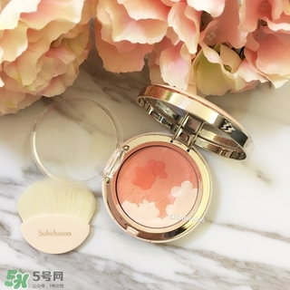 雪花秀花瓣腮紅多少錢？雪花秀花瓣腮紅專柜價格