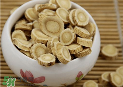 春天能喝黃芪水嗎？春天喝黃芪水好嗎？