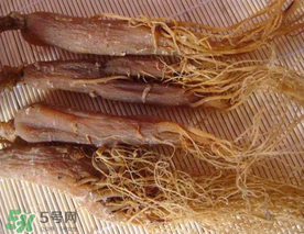 春天能吃紅參嗎？春天可以吃紅參嗎？