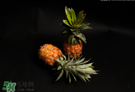 春天可以吃菠蘿嗎？春天吃菠蘿有什么好處？