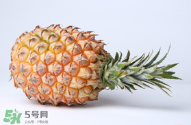 春天可以吃菠蘿嗎？春天吃菠蘿有什么好處？
