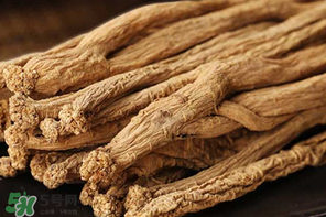 春天能吃黨參嗎？黨參什么人不能吃？