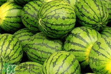 吃西瓜可以用勺子嗎？西瓜用勺子吃好嗎？