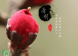 清明節(jié)為什么要吃清明果？為什么清明節(jié)要吃清明果？