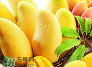 什么人不能吃芒果？哪些人不能吃芒果？