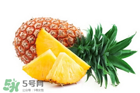 3月份有菠蘿吃嗎？三月份菠蘿可以吃嗎？