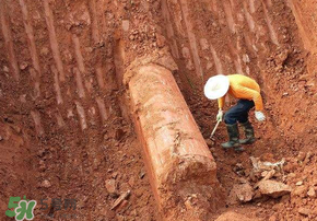 清明節(jié)遷墳好不好？2017年清明節(jié)哪天適合遷墳？