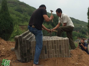 清明節(jié)遷墳好不好？2017年清明節(jié)哪天適合遷墳？