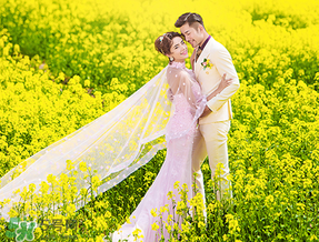 四月份還有油菜花嗎？4月份還有油菜花嗎？