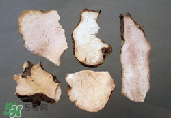 吃茯苓有什么好處？吃茯苓的禁忌