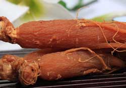 春天能吃紅參嗎？春天可以吃紅參嗎？