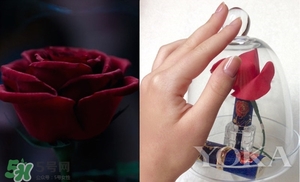 阿芙美女與野獸合作款有哪些？阿芙美女與野獸護(hù)膚品價(jià)格