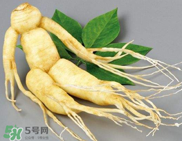 春天能吃高麗參嗎？春天可以喝高麗參湯嗎？