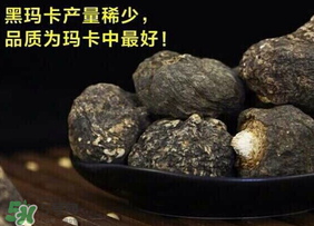 春天能吃瑪卡嗎？女人春天能吃瑪卡嗎？