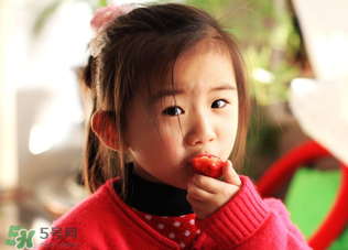 春天可以吃草莓嗎？春天吃草莓好嗎？