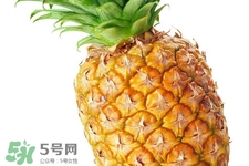 菠蘿煮水喝有什么好處？菠蘿煮水的功效與禁忌