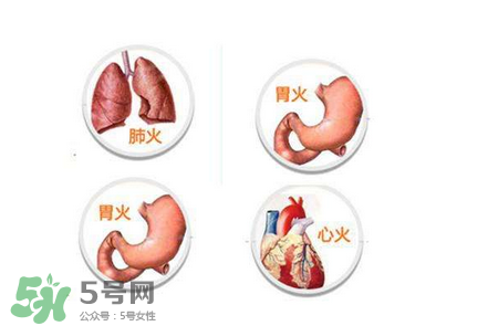 上火了喉嚨痛吃什么？上火了吃什么菜好？