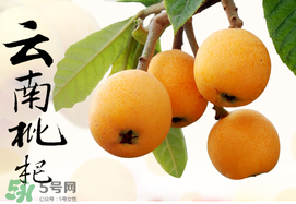 枇杷能放冰箱嗎？枇杷可以放冰箱保存嗎？