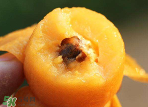 枇杷怎么保存？枇杷剝皮后怎樣保存？