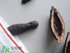 檳榔為什么會(huì)上癮？檳榔上癮怎么戒？