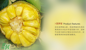 菠蘿蜜和榴蓮的區(qū)別 菠蘿蜜和榴蓮哪個(gè)好吃？