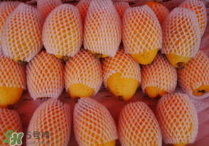 枇杷哪些人不能吃？哪些人不宜食用枇杷？