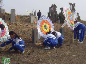 清明節(jié)穿什么衣服？清明節(jié)是適合穿什么衣服？