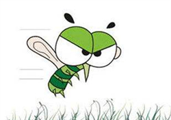 蚊蟲(chóng)叮咬會(huì)傳播艾滋病嗎？蚊蟲(chóng)會(huì)傳染乙肝嗎？