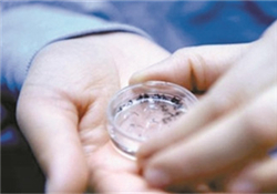 凍卵是什么？凍卵子需要多少錢？