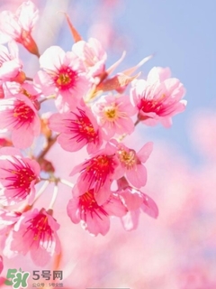 歐萊雅美女與野獸指甲油多少錢？歐萊雅美女與野獸指甲油試色