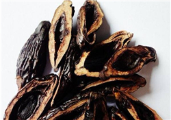 檳榔為什么會(huì)上癮？檳榔上癮怎么戒？