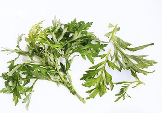 艾草可以治痛經(jīng)嗎？艾草能治月經(jīng)不調(diào)嗎？