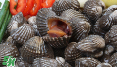 泥蚶怎么讀？泥蚶做法