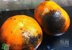 烤橘子怎么烤？烤橘子用什么火烤？