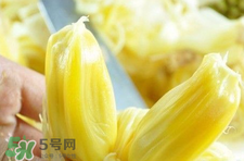 菠蘿蜜怎么吃？菠蘿蜜好吃嗎？