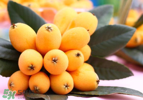 枇杷能和雞蛋一起吃嗎？枇杷可以和蛋一起吃嗎？