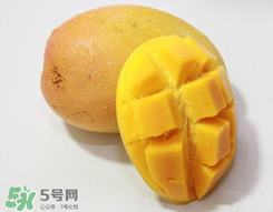 芒果什么季節(jié)成熟？芒果什么時候上市？