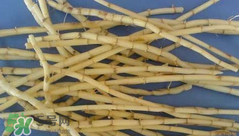 茅根的功效與作用 茅根有什么作用？