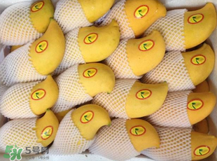 芒果哪里的最好吃？芒果哪種品種好吃？