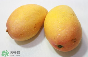 芒果哪里的最好吃？芒果哪種品種好吃？